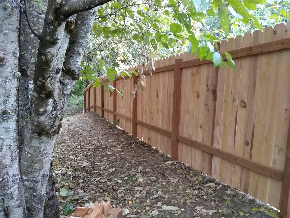 bellevue fencing